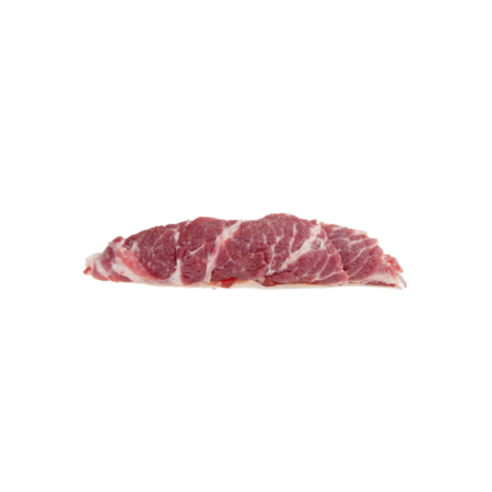PRESA IBÉRICA