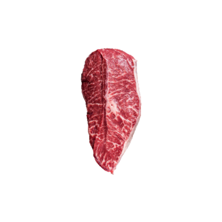 PLUMA IBÉRICA
