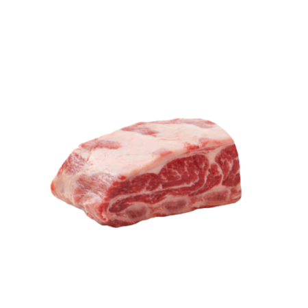 GARRA DE OSO